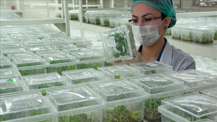 TEKFEN TARIM’IN ADANA AGRİPARK AR-GE MERKEZİ’NE SIFIR ATIK BELGESİ VERİLDİ
