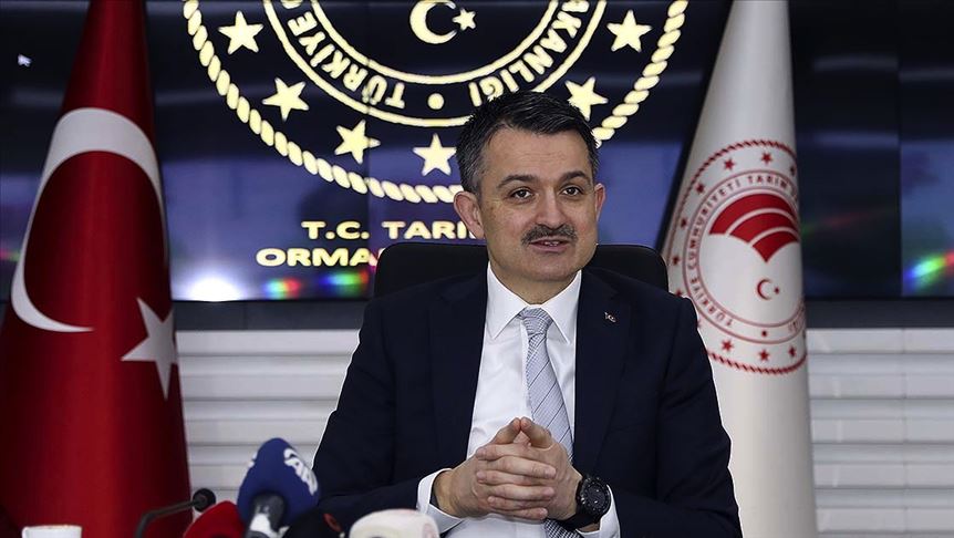 Bakan Pakdemirli: Yetiştiricilerimize hayvan başı 65 lira yem desteği veriyoruz