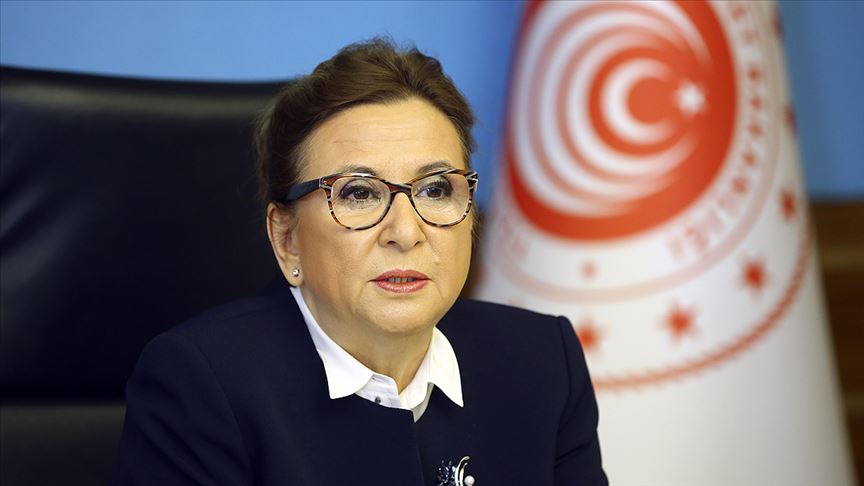 Kovid-19 semptomu göstermeyen Türk şoförler tekrar yurt dışına çıkabilecek
