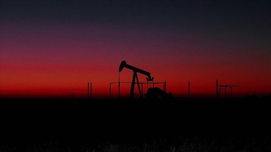 BRENT PETROLÜN VARİLİ 30,01 DOLAR