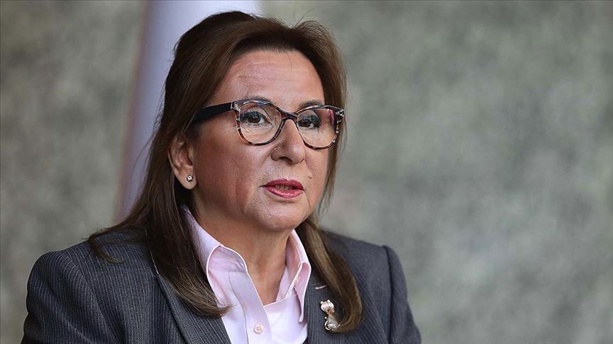 Ticaret Bakanı Pekcan, Rusya Enerji Bakanı Novak ile görüştü