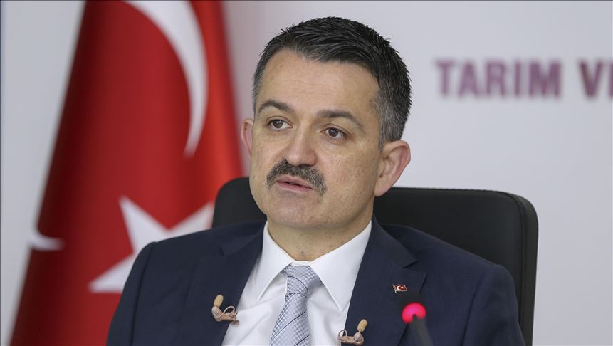 Bakan Pakdemirli: Bu yıl 2 bin 305 ton orkinos avlanabilecek