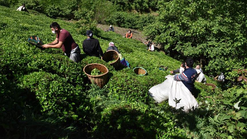 Yurt İçi Üretici Fiyat Endeksi ekimde yıllık %39.39 arttı