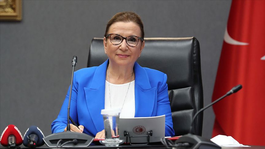 PEKCAN:PANDEMİ KOŞULLARINDA E-TİCARETİN KRİTİK ROLÜ DAHA DA BELİRGIN HALE GELMİŞTİR