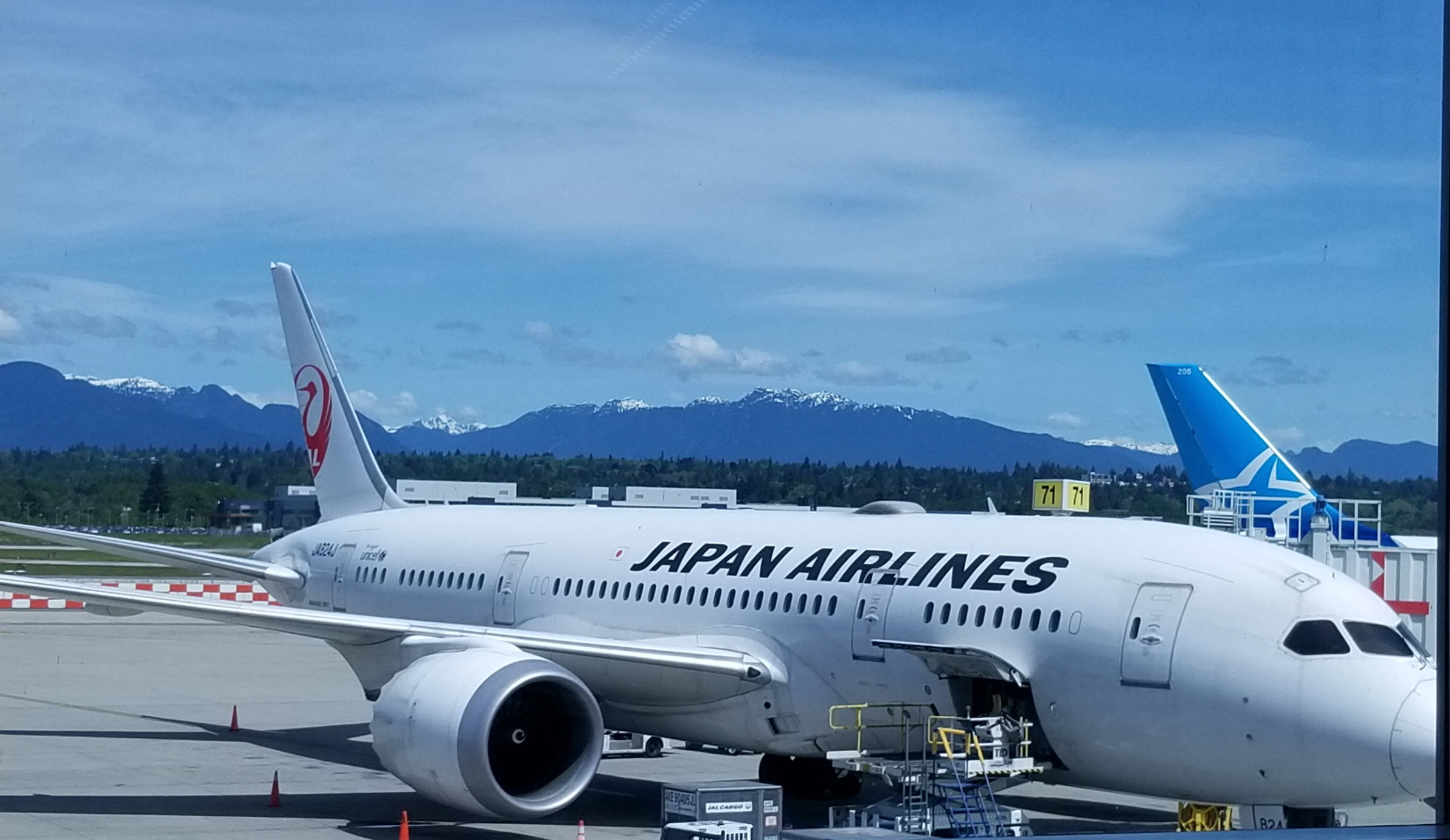 JAPAN AIRLINES'IN 2,2 MİLYAR DOLAR ZARAR ETMESİ BEKLENİYOR