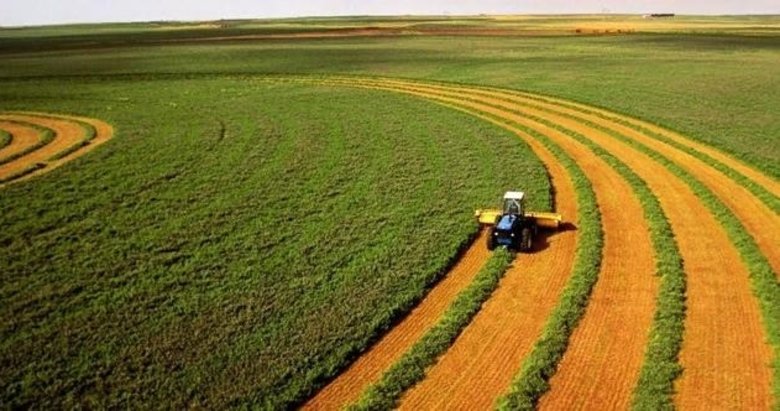 AB'den çiftçiye destek paketi: Tasarruf, basitleştirilmiş ödemeler ve çevre dostu teşvikler