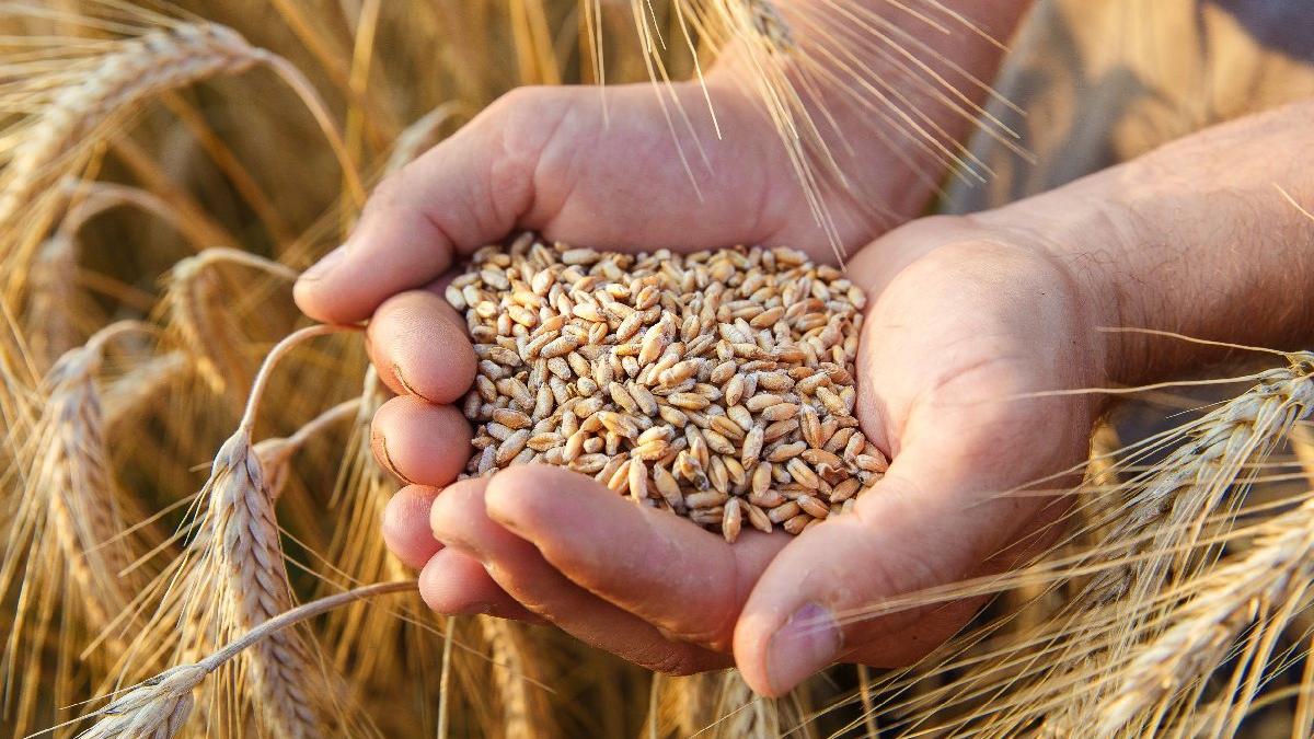 ABD Tarım Bakanlığı, iklim dostu tarımı desteklemek için 1 milyar dolar harcayacak
