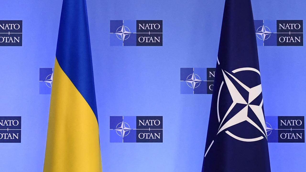 Almanya, Ukrayna'nın NATO üyeliği için doğru zaman olmadığını düşünüyor
