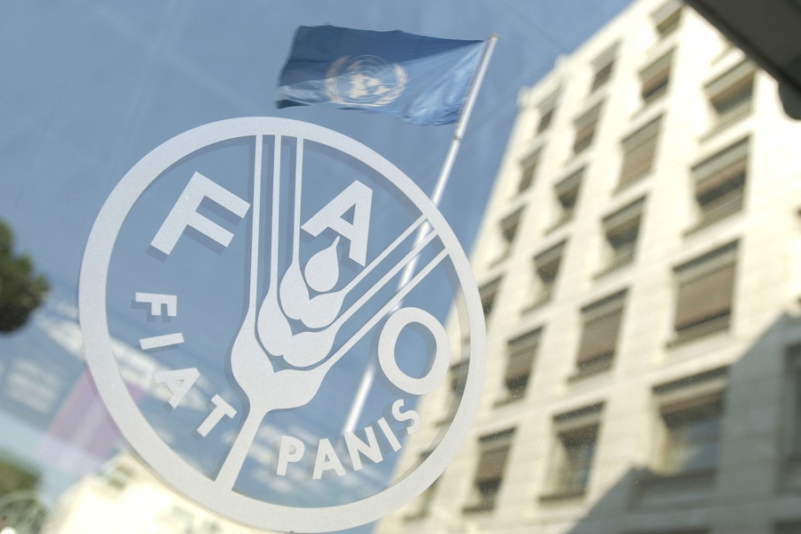 FAO: Küresel gıda fiyatları mayısta tahıl ve şekerin etkisiyle düşüş gösterdi