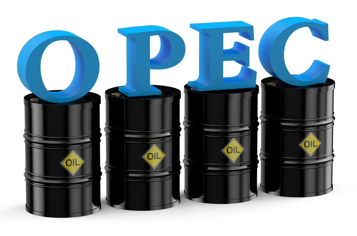 OPEC'in ham petrol üretimi ocak ayında düştü: Günlük 121 bin varil azalma kaydedildi