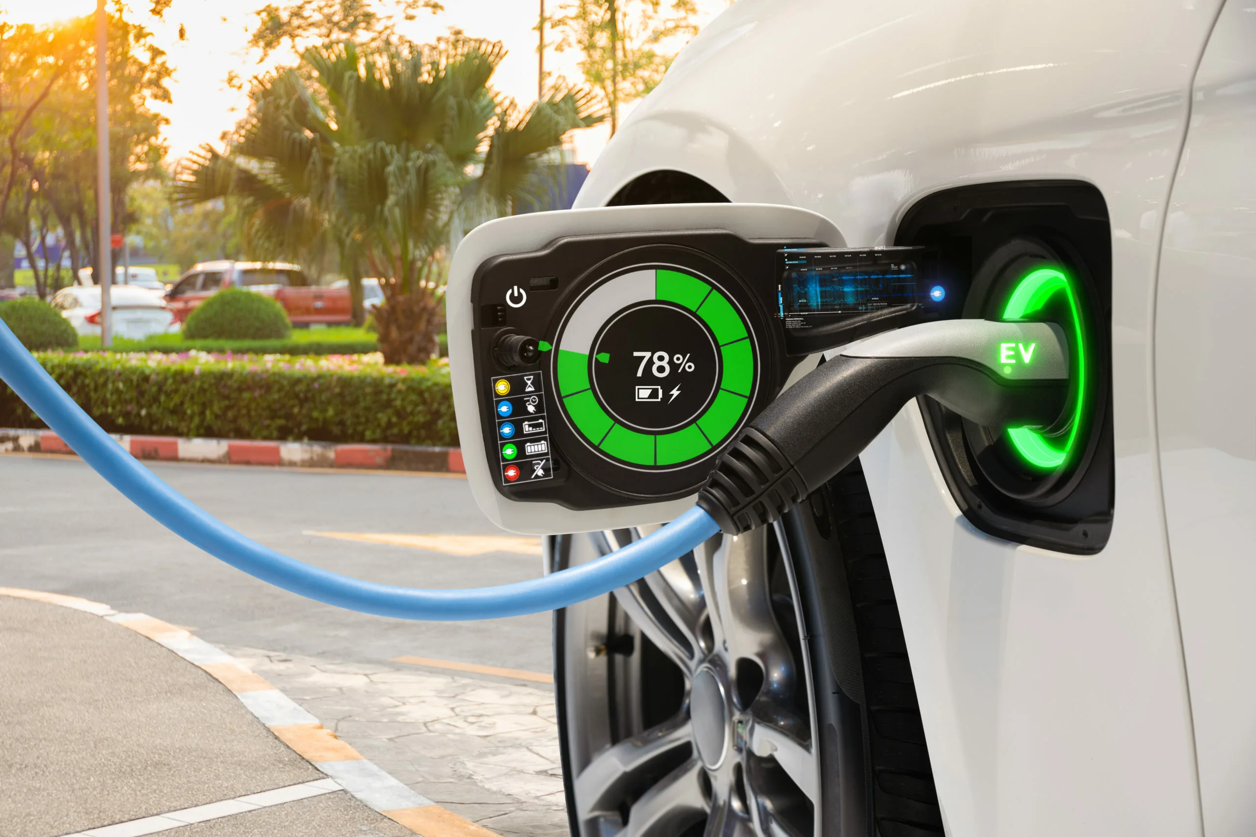 Küresel elektrikli araç satışları 2024 yılında rekor kırdı