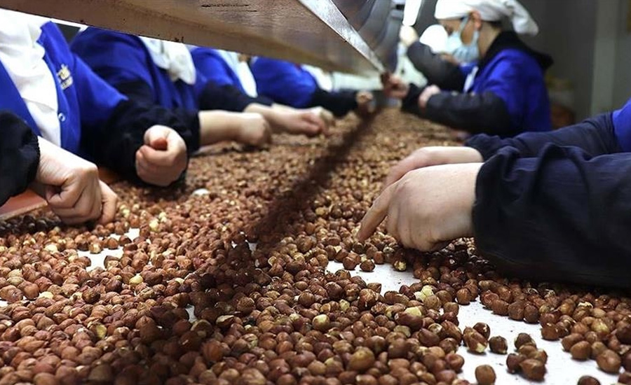 Ticaret borsalarında sezonun ilk üç ayında 138 bin tonu aşkın fındık işlem gördü