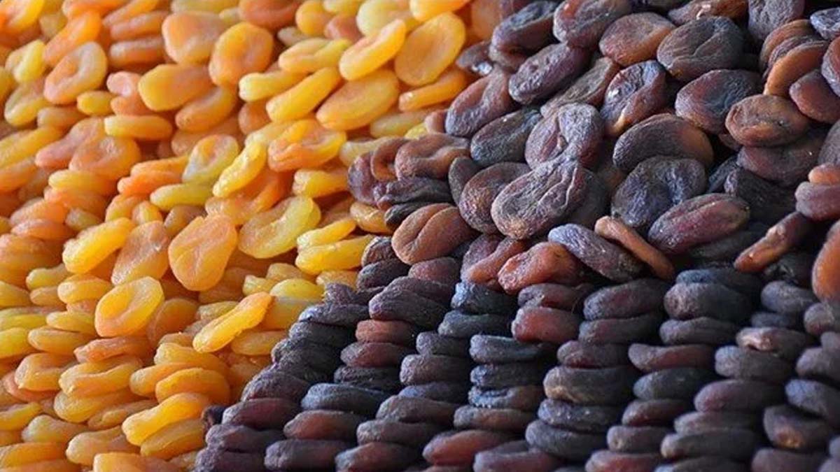 Malatya kayısısı ihracatında başarı: 20 bin ton ihracat gerçekleşti