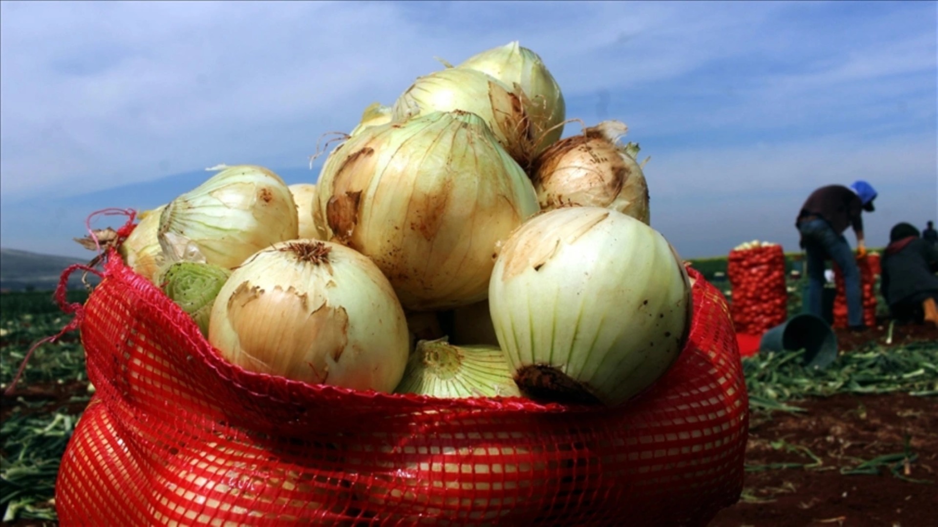 Patates soğan alacaklar dikkat! Patates ve kuru soğana kilogram sınırı getirildi.!