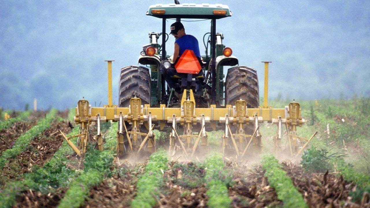 Çiftçilere yaklaşık 5,5 milyar liralık destek ödemesi yapılacak