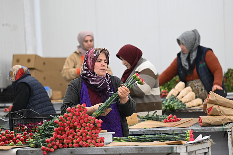 Çiçekçilerde 14 Şubat mesaisi başladı! Çiçekçilerde Sevgililer Günü bereketi