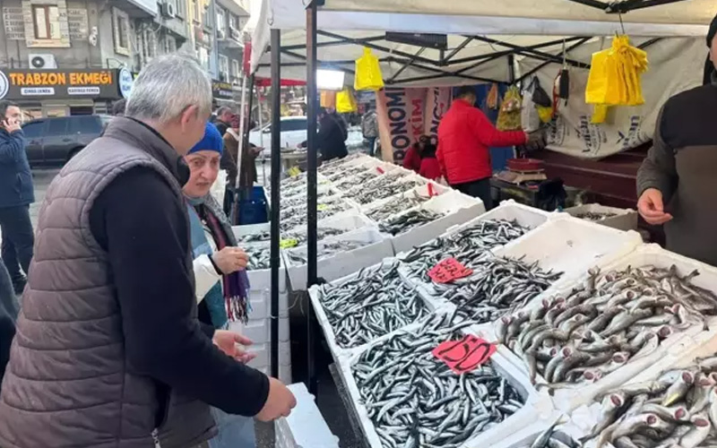 Balık sezonu başladı: İşte Hamsi, istavrit, barbun fiyatları