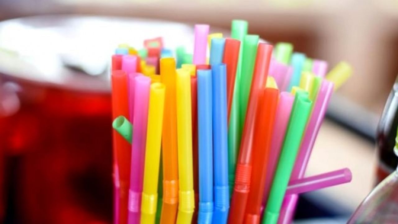 Tek kullanımlık bazı plastik ürünlere kısıtlama geliyor