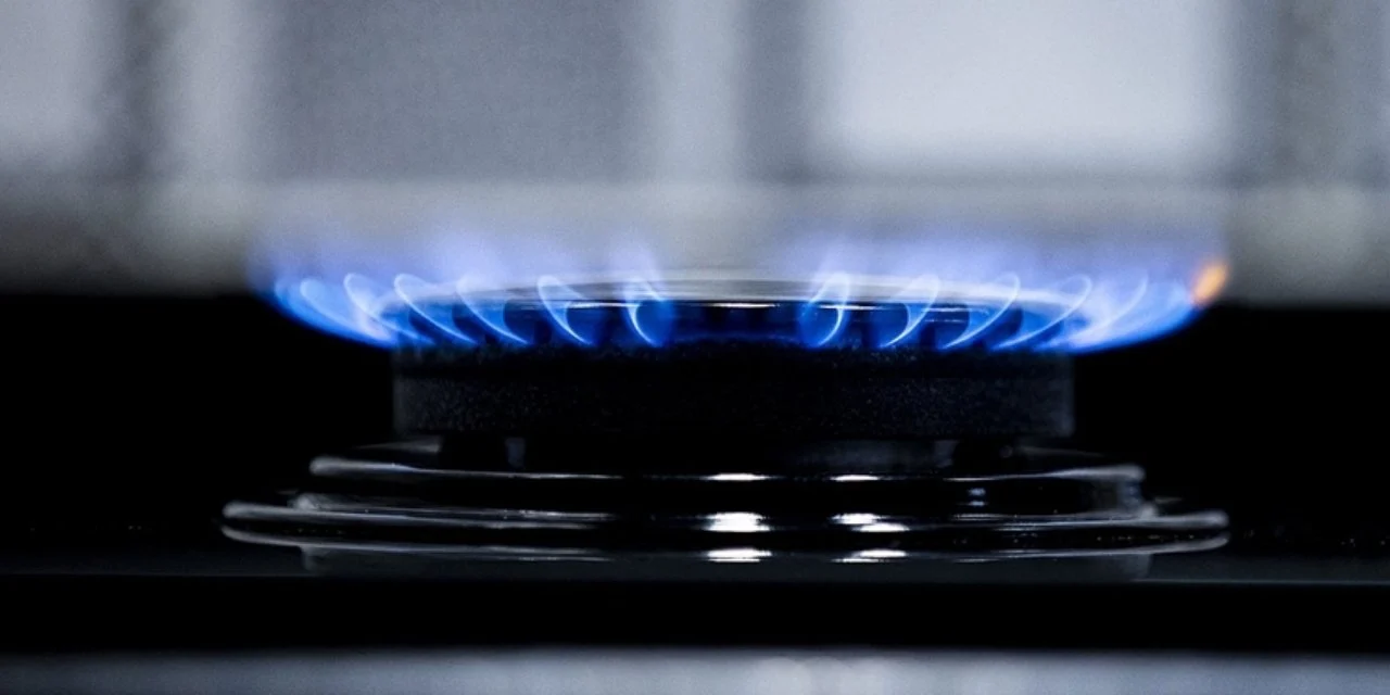 Türkiye'ye günlük doğal gaz girişi 169 milyon metreküpü aştı