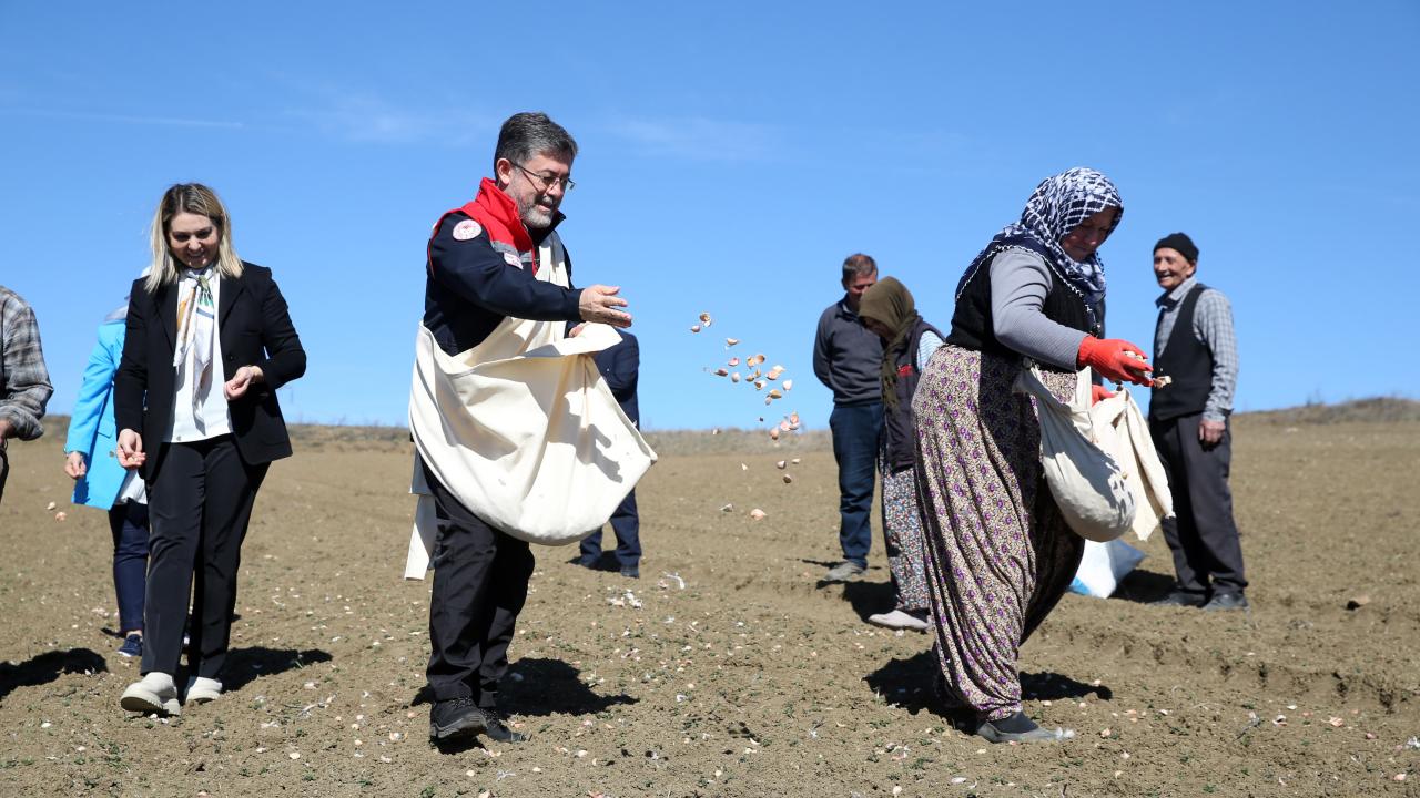 Bakan Yumaklı, Kastamonu'da sarımsak ekimine katıldı