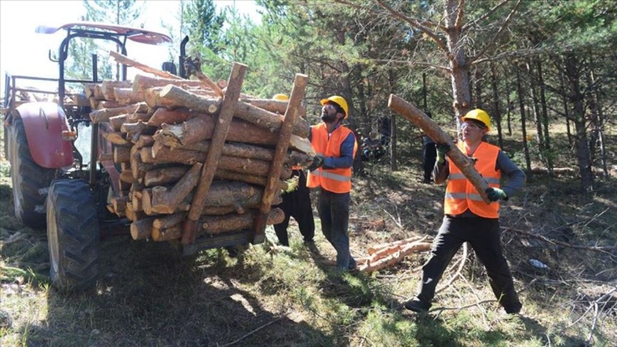 Orman Genel Müdürlüğü 4 bin 500 işçi alımı kurası çekildi! OGM kura çekilişi sonuçları ne zaman, nereden açıklanacak?