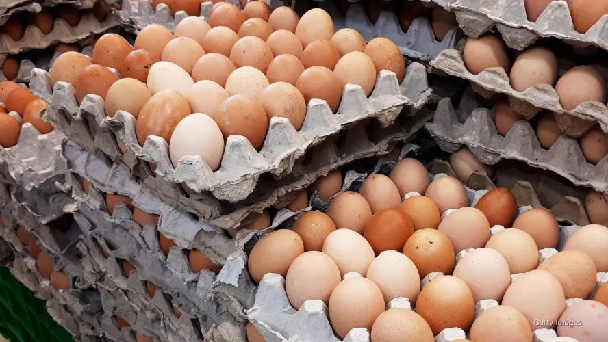Yumurta fiyatları yazla birlikte eriyor: Market raflarında büyük indirim