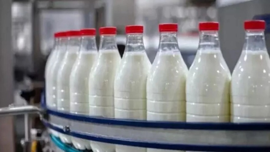 Süt ürünleri üretimi ve satışı yapan 39 işletmeye ceza yağdı