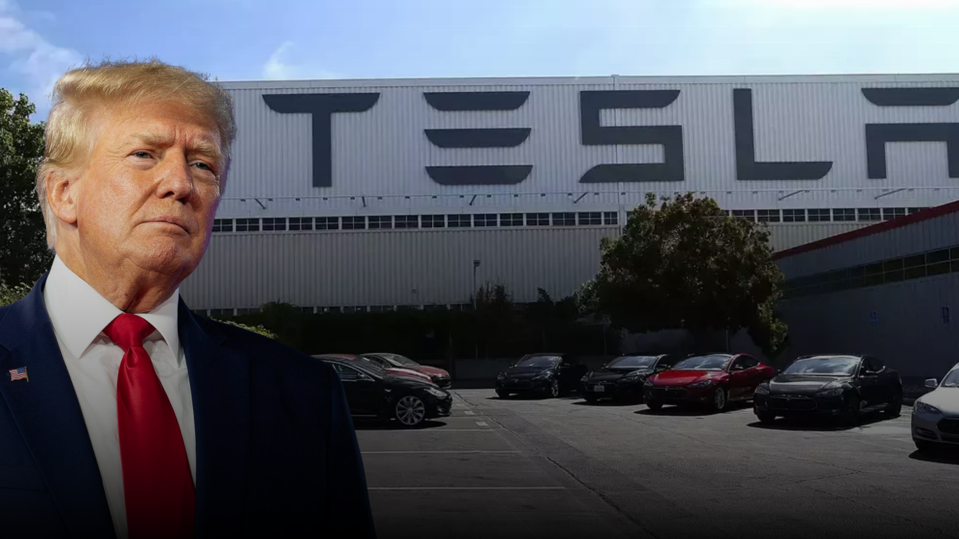 Trump’tan Musk’a destek: Yeni bir Tesla satın alacağını duyurdu
