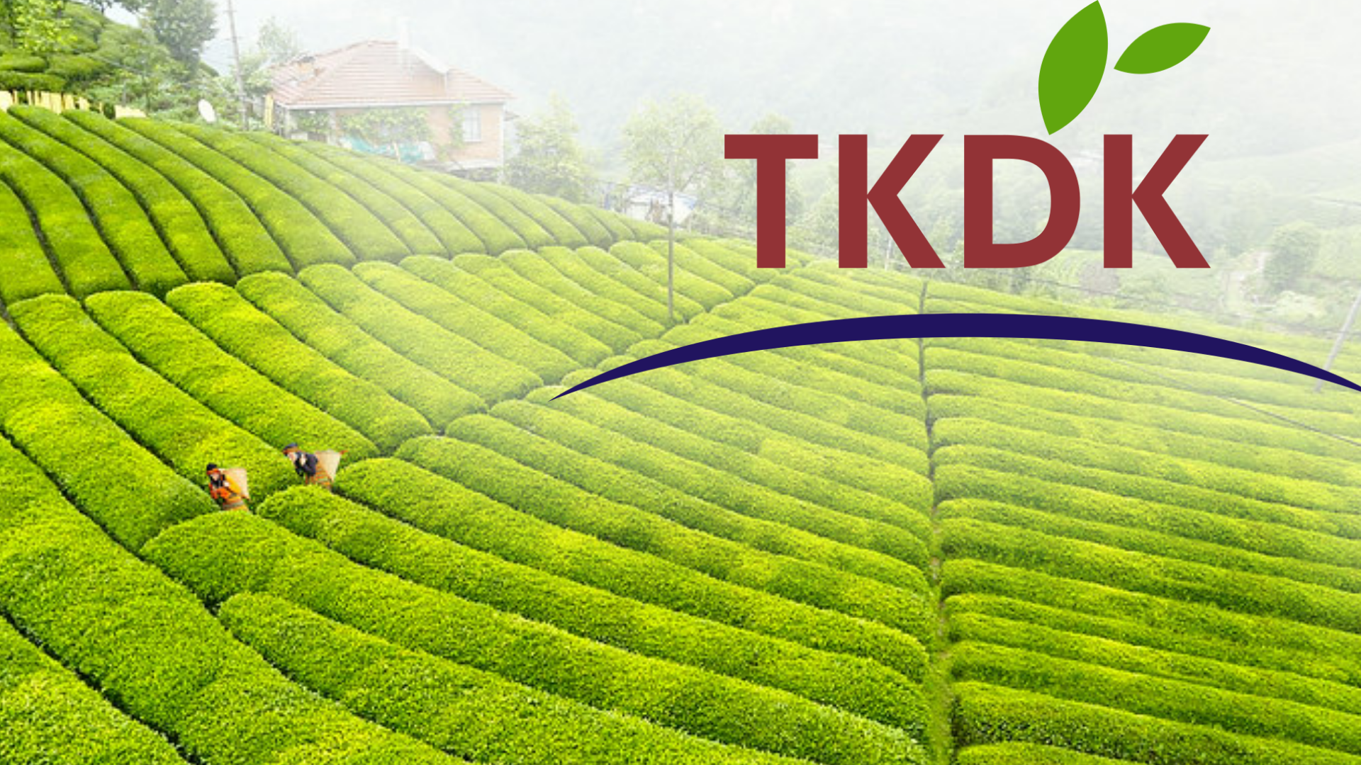 Trabzon'daki 27 Projeye TKDK'den destek