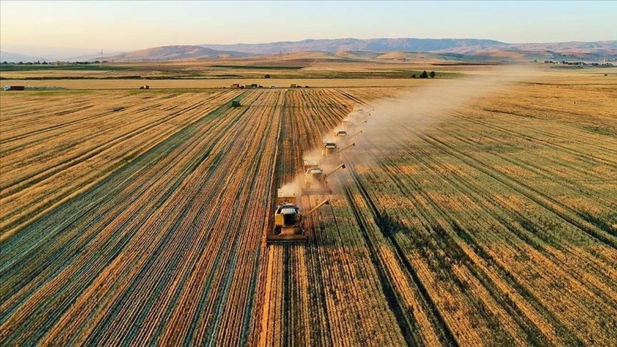 Çiftçilere 5,6 milyar lira destek ödemesi bugün başlıyor