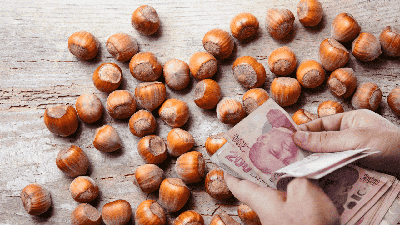 Ticaret borsalarında hareketlilik: 6 ayda 479 bin ton fındık işlem gördü