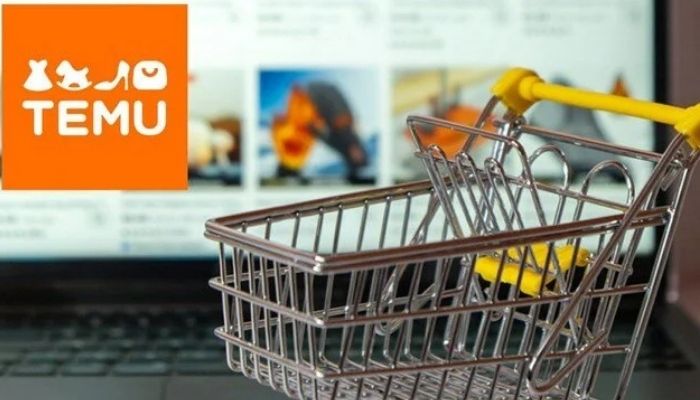 Temu kapatılacak mı? İnceleme başladı, erişim engellenebilir