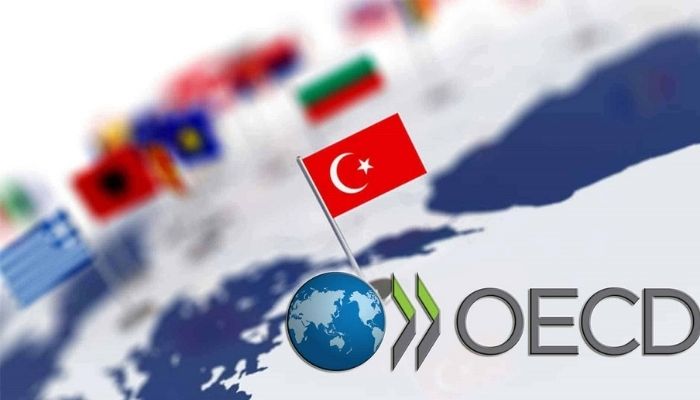 OECD Raporu: Türkiye’de vergi yükü OECD ortalamasının üzerinde