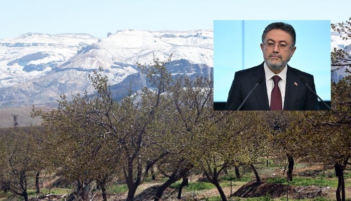 Bakan Yumaklı'dan zirai don açıklaması