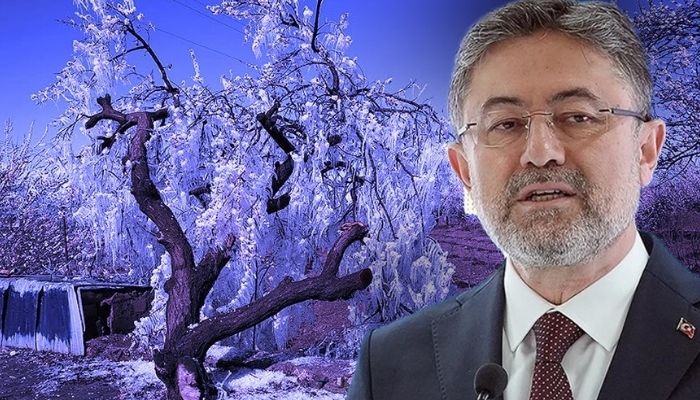 Tarım Bakanlığı’ndan zirai dondan etkilenen çiftçilere yeni destek