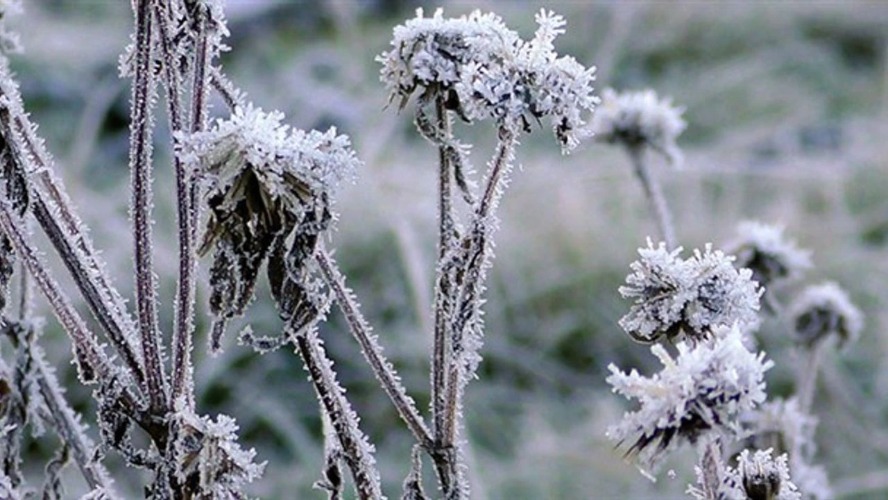 Meteorolojiden kar, rüzgar ve zirai don uyarısı