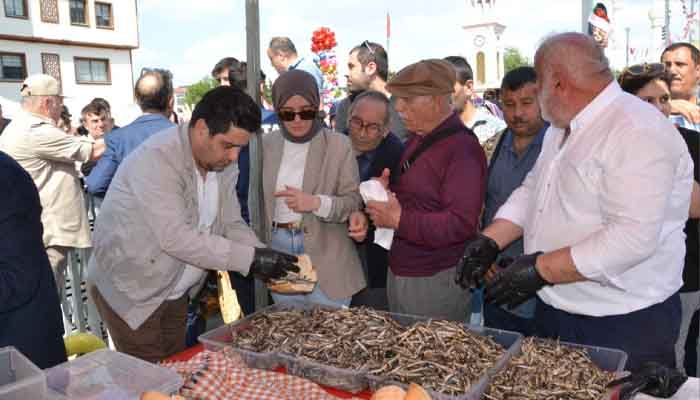 Tüm şehir sıraya girdi! Tam 2 ton hamsi ücretsiz dağıtıldı