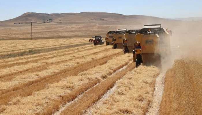 Tarımda yeni dönem: Türkiye genelinde tarım sayımı yapılacak