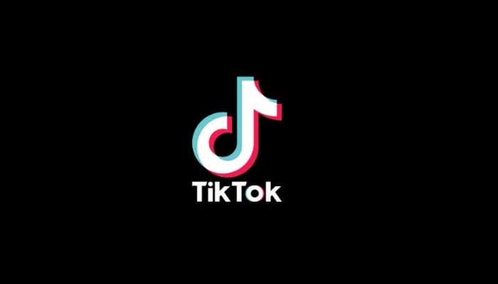 TikTok'a rekor ceza