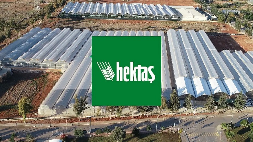 Hektaş'tan 2,38 milyar TL'lik tahsisli sermaye artırımı kararı