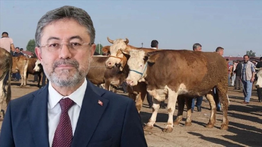 Hayvancılığa yeni destek paketi: Üreticiye yıllık 18 bin TL ve kredi kolaylığı