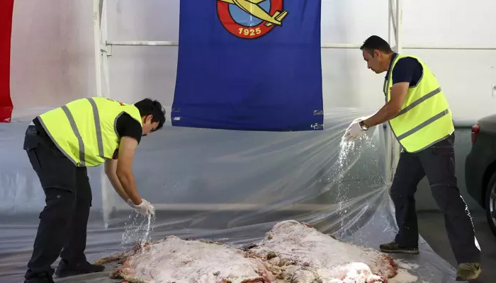 THK’den Kurban Bayramı’na özel deri bağışı çağrısı