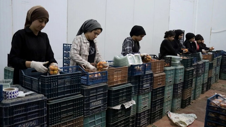 TKDK'den depremzede girişimcilere 200 milyon liralık destek