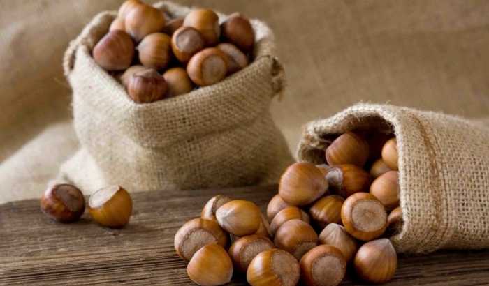 Türkiye'nin fındık ihracatı 2025'in ilk 4 ayında 852 milyon doları aştı: En fazla ihracat Almanya, İtalya ve Fransa'ya yapıldı