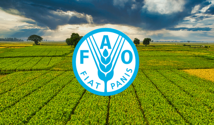 FAO Gıda Fiyat Endeksi nisan ayında %1 arttı: Süt ve et fiyatları yükseldi, yağ ve şekerde düşüş sürdü