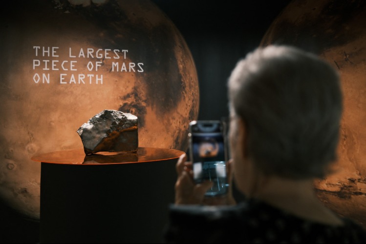 Mars'tan gelen milyon dolarlık parça rekor fiyata satıldı