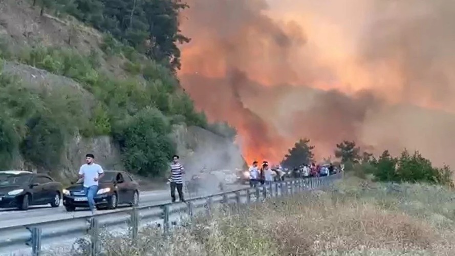 Türkiye alev alev: Orman yangınları 4 ilde kabus gibi yayılıyor