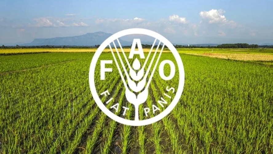 Türkiye FAO konseyine seçildi: 127 oyla büyük başarı