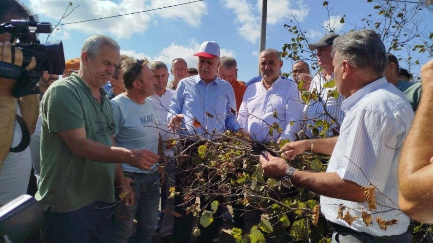 TZOB Başkanı Bayraktar’dan Karadeniz’e fındık uyarısı: "Para etmiyorsa hayat yok"