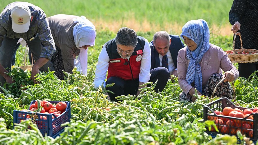 Çiftçiye 2026’da rekor destek: Buğdaydan pamuğa tüm rakamlar açıklandı